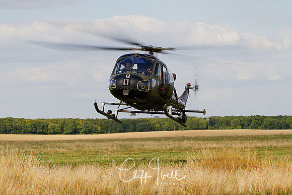Westland Scout AH1